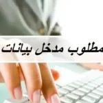 وظيفة إدخال بيانات
