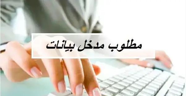 وظيفة إدخال بيانات