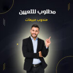 مندوب مبيعات