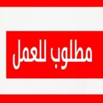 مطلوب l,/tdk موظفات للعمل